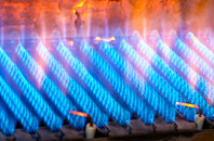 Trerulefoot gas fired boilers